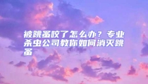 被跳蚤咬了怎么辦？專業殺蟲公司教你如何消滅跳蚤