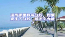 深圳哪里有殺白蟻，如果發生了白蟻，該怎么辦被？