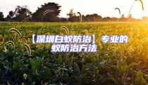 【深圳白蟻防治】專業的蟻防治方法