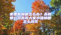 家里有蟑螂怎么辦？殺蟑螂公司告訴大家小強蟑螂怎么消滅
