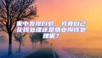 家中發現白蟻，究竟自己花錢處理還是物業掏錢處理呢？
