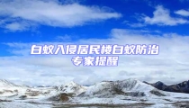 白蟻入侵居民樓白蟻防治專家提醒