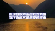深圳白蟻防治白蟻對(duì)我國農(nóng)作物還不是重要的害蟲