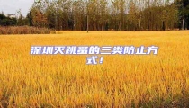 深圳滅跳蚤的三類防止方式！