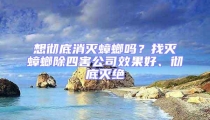 想徹底消滅蟑螂嗎？找滅蟑螂除四害公司效果好、徹底滅絕