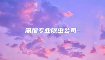 深圳專業除蟲公司-