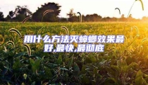 用什么方法滅蟑螂效果最好,最快,最徹底