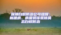 深圳白蟻防治公司提醒：新建房、房屋裝飾裝修莫忘白蟻防治