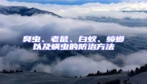 臭蟲、老鼠、白蟻、蟑螂以及螨蟲的防治方法