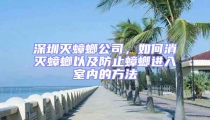 深圳滅蟑螂公司，如何消滅蟑螂以及防止蟑螂進入室內的方法