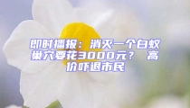 即時播報：消滅一個白蟻巢穴要花3000元？ 高價嚇退市民