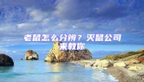 老鼠怎么分辨？滅鼠公司來教你