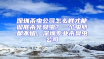 深圳殺蟲公司怎么樣才能徹底殺死臭蟲？一個蟲卵都不留；深圳專業殺臭蟲公司