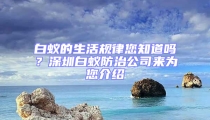 白蟻的生活規律您知道嗎？深圳白蟻防治公司來為您介紹