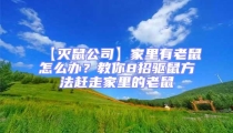 【滅鼠公司】家里有老鼠怎么辦？教你8招驅(qū)鼠方法趕走家里的老鼠