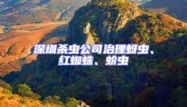 深圳殺蟲公司治理蚜蟲、紅蜘蛛、蚧蟲