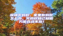 深圳滅螞蟻，家里有螞蟻怎么辦，滅螞蟻知己知彼方能百戰不殆！