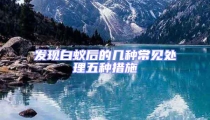 發現白蟻后的幾種常見處理五種措施