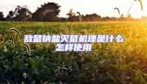 敵鼠鈉鹽滅鼠機理是什么怎樣使用