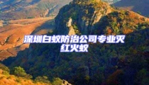 深圳白蟻防治公司專業(yè)滅紅火蟻
