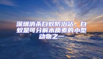 深圳消殺白蟻防治站，白蟻是可分解木質素的小型動物之一