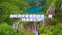 如何消滅家里的害蟲，就找殺蟲公司