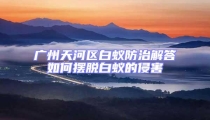 廣州天河區(qū)白蟻防治解答如何擺脫白蟻的侵害