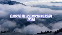 白蟻防治之白蟻跟螞蟻的區別