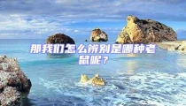 那我們?cè)趺幢鎰e是哪種老鼠呢？