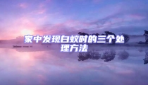家中發(fā)現(xiàn)白蟻時的三個處理方法
