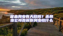 吸血臭蟲有天敵嗎？殺臭蟲公司告訴你臭蟲怕什么