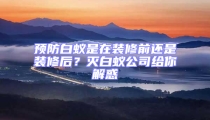 預防白蟻是在裝修前還是裝修后？滅白蟻公司給你解惑