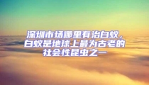 深圳市場哪里有治白蟻，白蟻是地球上最為古老的社會性昆蟲之一