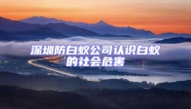 深圳防白蟻公司認(rèn)識白蟻的社會(huì)危害
