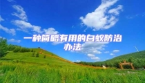一種簡略有用的白蟻防治辦法