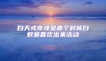 白天或夜晚是哪個(gè)時(shí)候白蟻?zhàn)钕矚g出來活動(dòng)