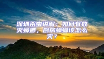 深圳殺蟲講解：如何有效滅蟑螂，廚房蟑螂該怎么滅？