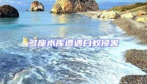 多座水庫遭遇白蟻侵害