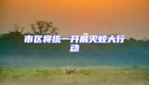 市區(qū)將統(tǒng)一開(kāi)展滅蚊大行動(dòng)