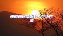 果園白蟻防治的六個(gè)小方法