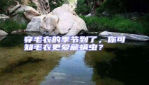穿毛衣的季節到了，你可知毛衣更愛藏螨蟲？