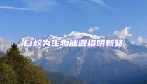 白蟻為生物能源指明新路