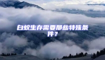 白蟻生存需要那些特殊條件？