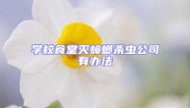 學(xué)校食堂滅蟑螂殺蟲公司有辦法