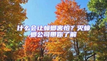 什么會(huì)讓蟑螂害怕？滅蟑螂公司帶你了解