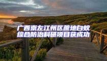 廣西崇左江州區蔗地白蟻綜合防治科研項目獲成功