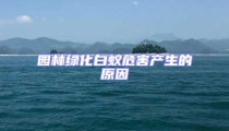 園林綠化白蟻危害產(chǎn)生的原因