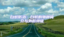白蟻防治：白蟻的物種簡(jiǎn)介與外形特征