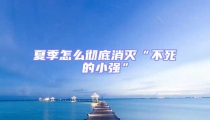 夏季怎么徹底消滅“不死的小強”