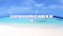 白蟻和螞蟻的區別和不同點
